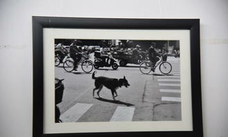 將畢業(yè)展辦成藝博會(huì) 山東工藝美術(shù)學(xué)院2015設(shè)計(jì)藝術(shù)博覽會(huì)工藝美術(shù)設(shè)計(jì)展的革新實(shí)踐